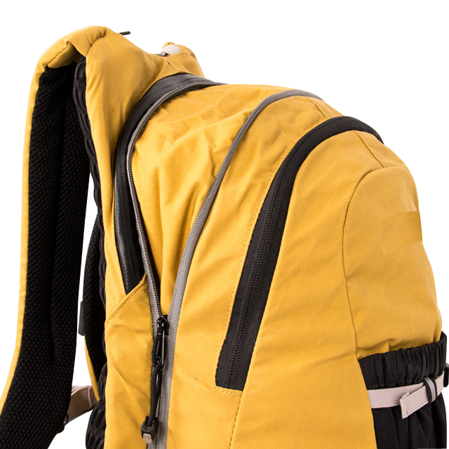 The 15L+3L Daypack Backpack (FP-181209)