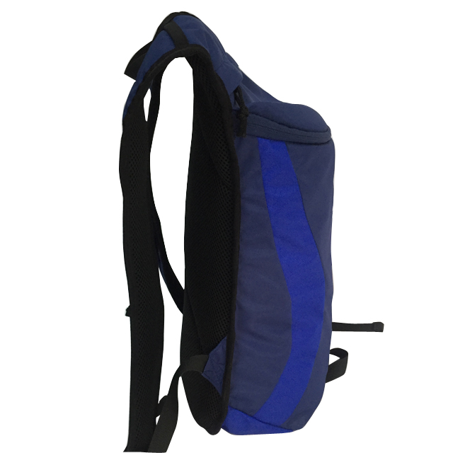 Blue Cycling Backpack (FP-181106)