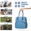 New Stylish Reusable Lunch Box Insulated Lunch Bag for Picnic Hiking Work Office(EPZ-423)