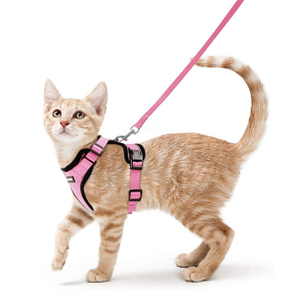 Amazon Hot Selling Breathable Pet Safety Jacket Cat Harness and Leash for Walking(EPZ-558)