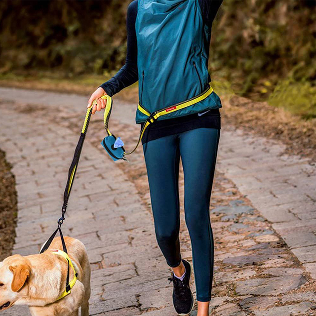 Factory Direct Premium Quality Pet Poop Bag for Walking Running or Hiking(EPZ-309)