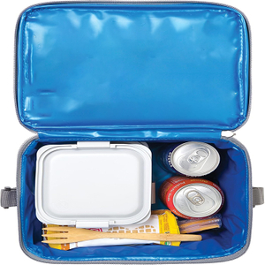 Gel-Lined Freezable Collapsible Lunch Bag That Chills Food for Hours Without Ice Packs for Work Office Picnic Day Trips