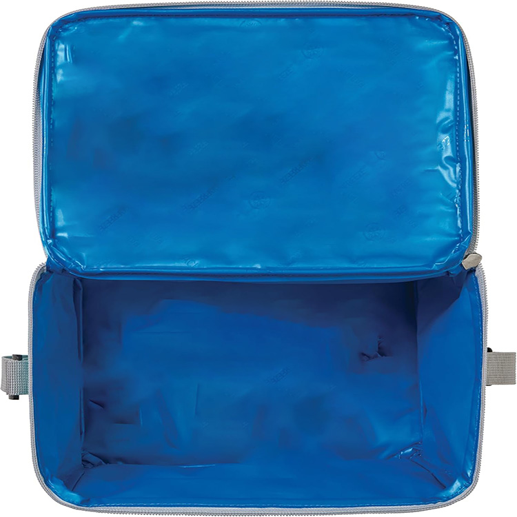 Freezable Eco-Friendly Leakproof Collapsible Lunch Bag with Built-In Gel Liner for Work Office Picnic Outdoor Day Trips