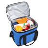 High Quality Custom Lightweight Picnic Insulated Waterproof Thermal Cooler Lunch Bag (EP-CB281)