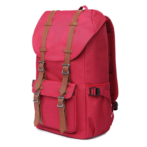 2019 Fashion Summer China Supplier Outdoor Laptop College Trendy Travel Backpack (EP-TB317)