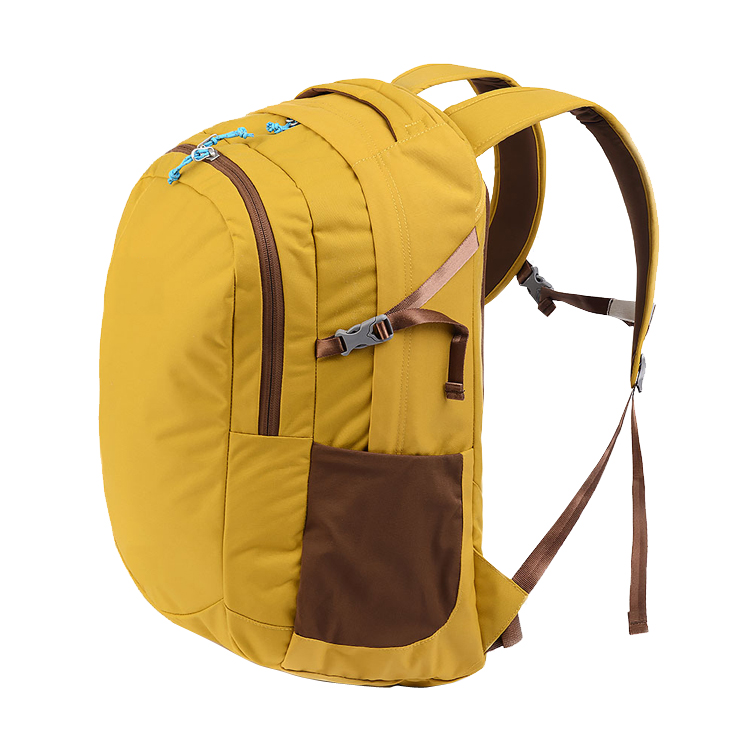 Fashion Waterproof Business Carry on Travel Laptop Custom Travel Backpack (EP-SB197)