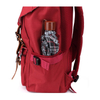 2019 Fashion Summer China Supplier Outdoor Laptop College Trendy Travel Backpack (EP-TB317)