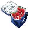 Hot Selling Tote Cooling Waterproof Thermal Insulated Cooler Bag for Frozen Food (EPJ-SB131)