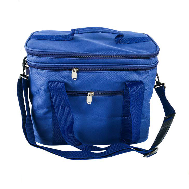 cooler bag for frozen food6