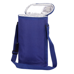 Cheap Custom Logo Tote Cooling Waterproof Thermal Insulated Wine Cooler Bag (EPJ-SB134)
